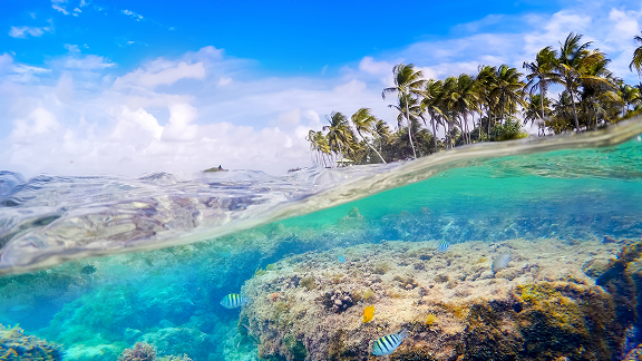 Antilles_Intro_576x324