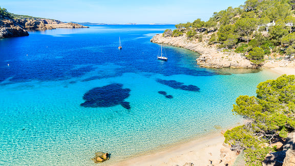 IBZ_Intro_576x324