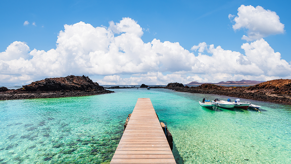 Canaries_Intro_576x324