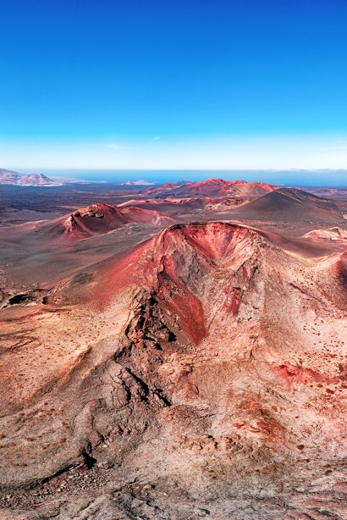 Canaries - Lanzarote