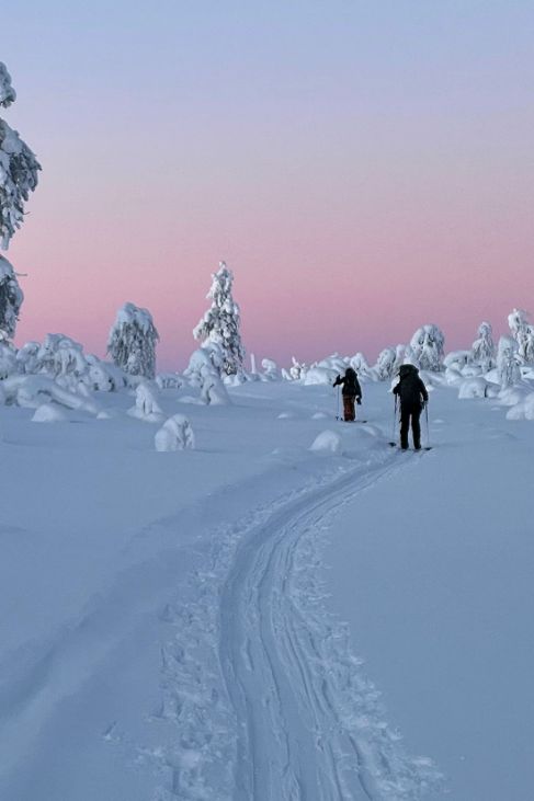 Finlande - Laponie