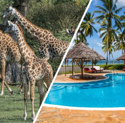 Hôtel Antonio Beach Tree House & Spa 4* + Safari 1 nuit, Combiné Tanzanie, Zanzibar par Ôvoyages Hôtel Antonio Beach Tree House & Spa 4* + Safari 1 nuit, Combiné Tanzanie, Zanzibar par Ôvoyages