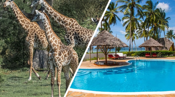 Hôtel Antonio Beach Tree House & Spa 4* + Safari 1 nuit, Combiné Tanzanie, Zanzibar par Ôvoyages Hôtel Antonio Beach Tree House & Spa 4* + Safari 1 nuit, Combiné Tanzanie, Zanzibar par Ôvoyages