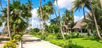 Hôtel Antonio Beach Tree House & Spa 4* + Safari 1 nuit, Combiné Tanzanie, Zanzibar par Ôvoyages Hôtel Antonio Beach Tree House & Spa 4* + Safari 1 nuit, Combiné Tanzanie, Zanzibar par Ôvoyages