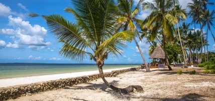 Hôtel Antonio Beach Tree House & Spa 4* + Safari 1 nuit, Combiné Tanzanie, Zanzibar par Ôvoyages Hôtel Antonio Beach Tree House & Spa 4* + Safari 1 nuit, Combiné Tanzanie, Zanzibar par Ôvoyages