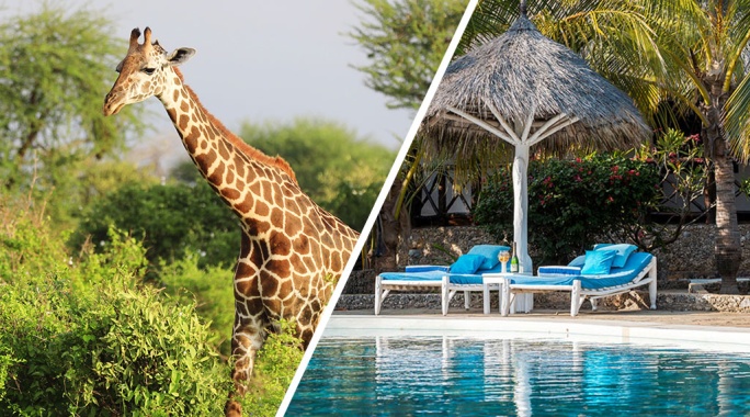 Hôtel Exploreans Malaika Villas & Beach Club 3* by Ôvoyages + Safari 2 Nuits dans le Parc National de Tsavo Est, Combiné Kenya par Ôvoyages Hôtel Exploreans Malaika Villas & Beach Club 3* by Ôvoyages + Safari 2 Nuits dans le Parc National de Tsavo Est, Combiné Kenya par Ôvoyages