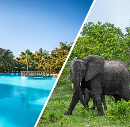 Combiné White Paradise 4* + Safari 2 nuits dans la réserve de Selous en avion, Séjour Tanzanie, Zanzibar par Ôvoyages Combiné White Paradise 4* + Safari 2 nuits dans la réserve de Selous en avion, Séjour Tanzanie, Zanzibar par Ôvoyages