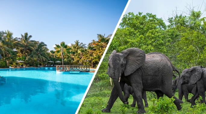 Combiné White Paradise 4* + Safari 2 nuits dans la réserve de Selous en avion, Séjour Tanzanie, Zanzibar par Ôvoyages Combiné White Paradise 4* + Safari 2 nuits dans la réserve de Selous en avion, Séjour Tanzanie, Zanzibar par Ôvoyages