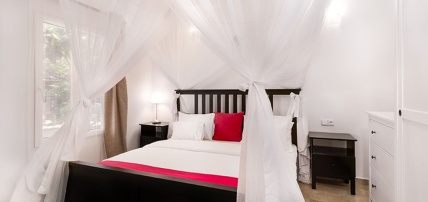 Combiné White Paradise 4* + Safari 2 nuits dans la réserve de Selous en avion, Séjour Tanzanie, Zanzibar par Ôvoyages Combiné White Paradise 4* + Safari 2 nuits dans la réserve de Selous en avion, Séjour Tanzanie, Zanzibar par Ôvoyages