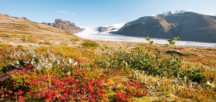 City Break à Reykjavik - Aventure & Soleil d'Islande (excursions incluses), Séjour Islande par Ôvoyages City Break à Reykjavik - Aventure & Soleil d'Islande (excursions incluses), Séjour Islande par Ôvoyages